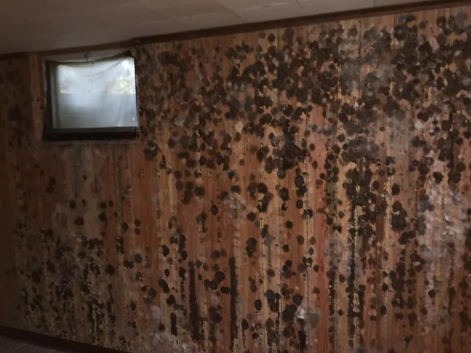 Slide of Phoenix Restoration and Roofing Services