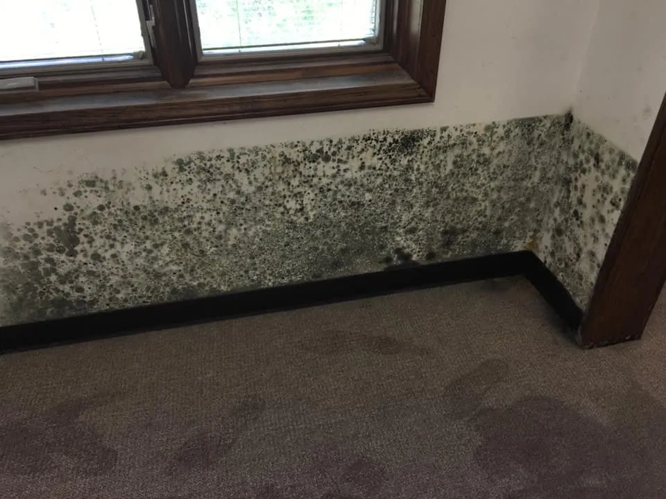 Slide of Phoenix Restoration and Roofing Services