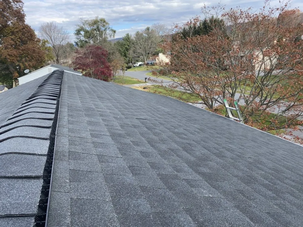 Slide of Phoenix Restoration