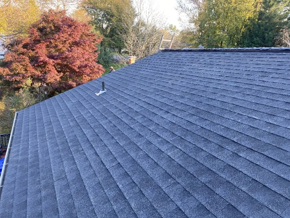 Slide of Phoenix Restoration