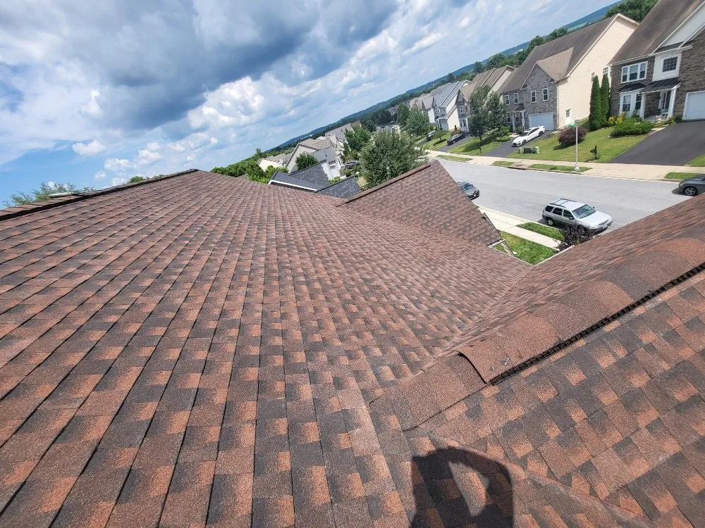 Slide of Phoenix Restoration