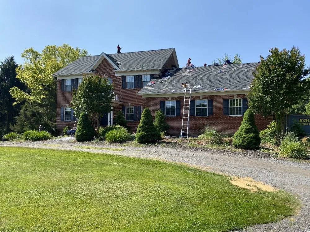 Slide of Phoenix Restoration