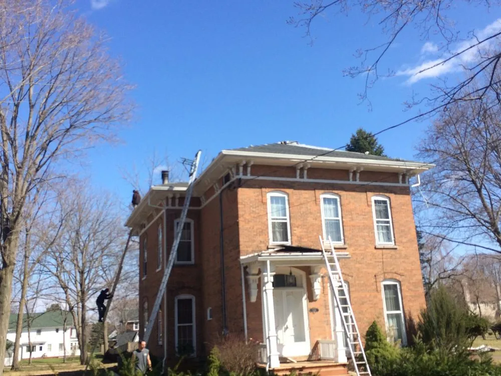 Slide of Picky Ricky Construction