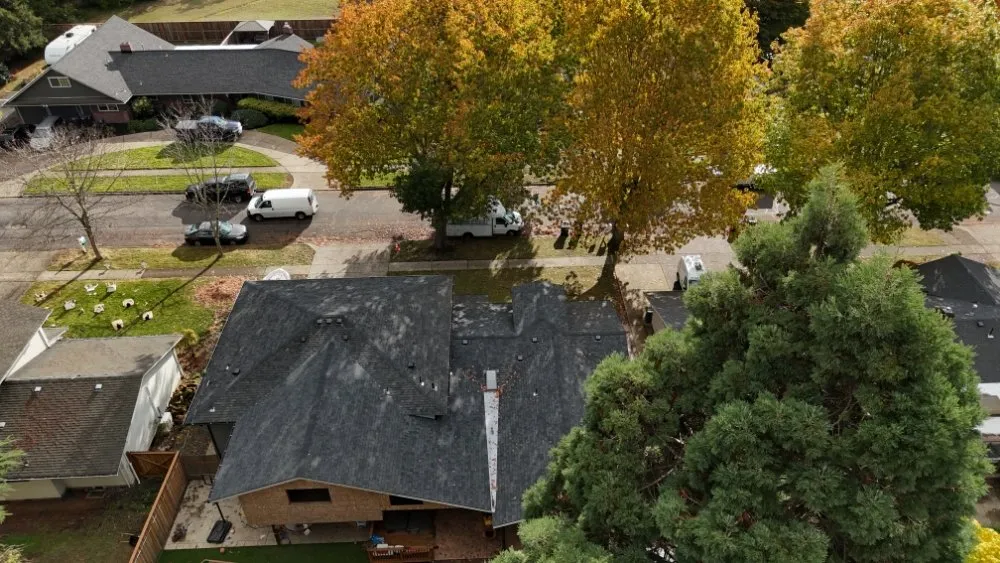 Slide of Picture Perfect Construction