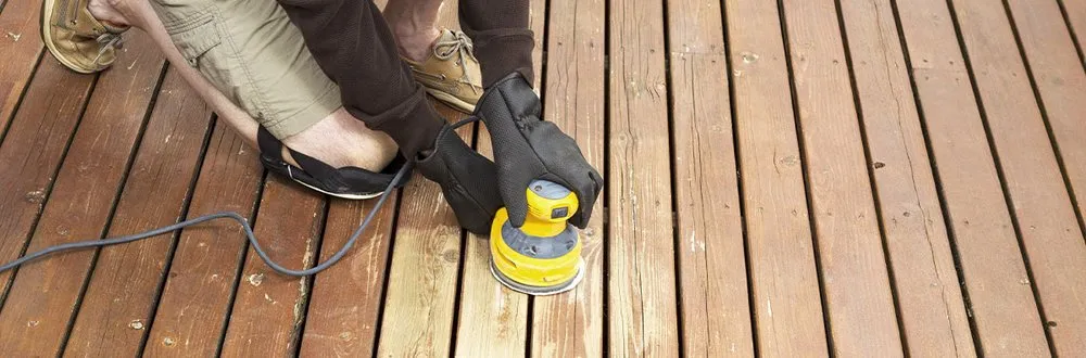 Slide of Pine Lane Staining