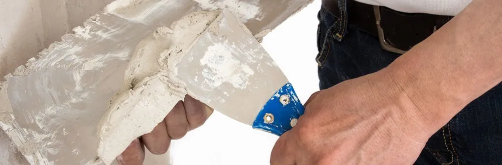 Slide of Pine Lane Staining