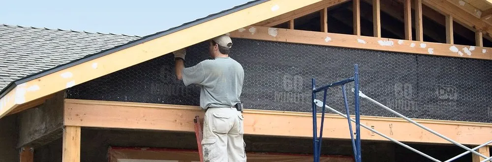 Slide of Pine Lane Staining