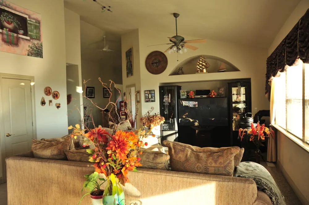 Slide of Pine Tree Construction