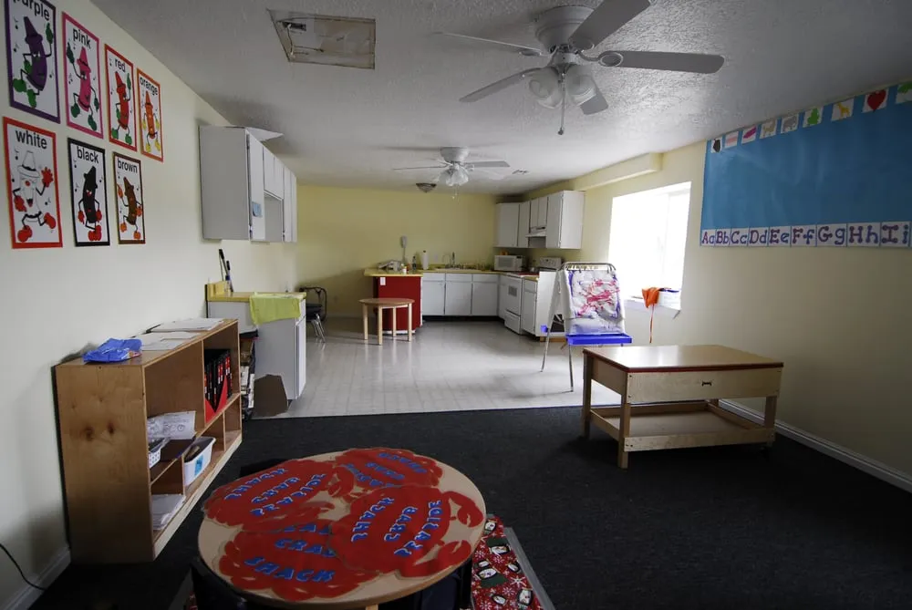 Slide of Pine Tree Construction