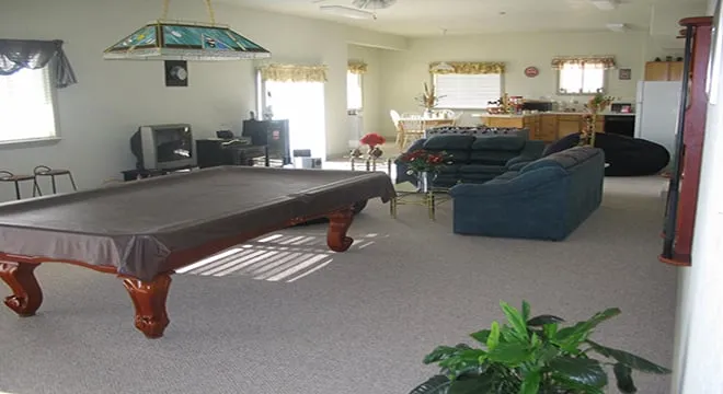 Slide of Pine Tree Construction