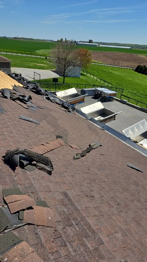 Slide of Pine Tree Exteriors