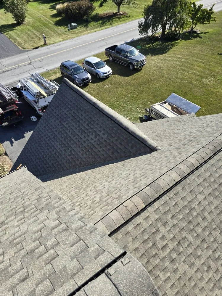 Slide of Pine Tree Exteriors