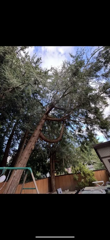 Slide of Pineda General Contractor