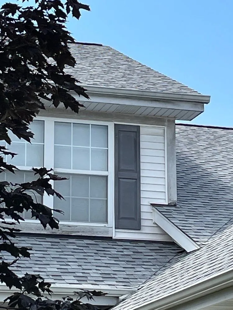 Slide of Pink Roofing