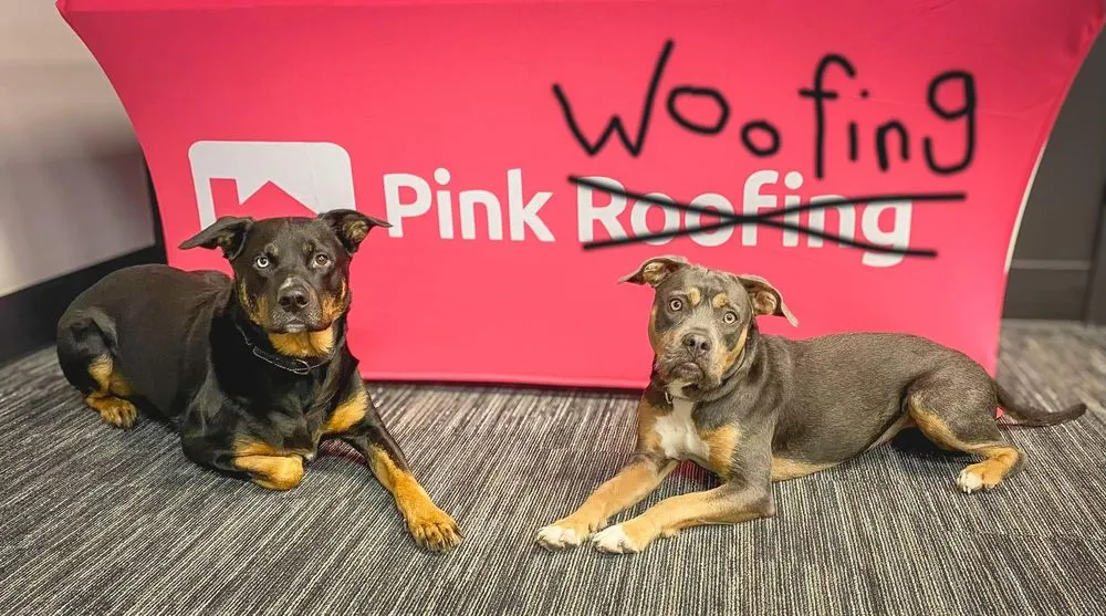 Slide of Pink Roofing