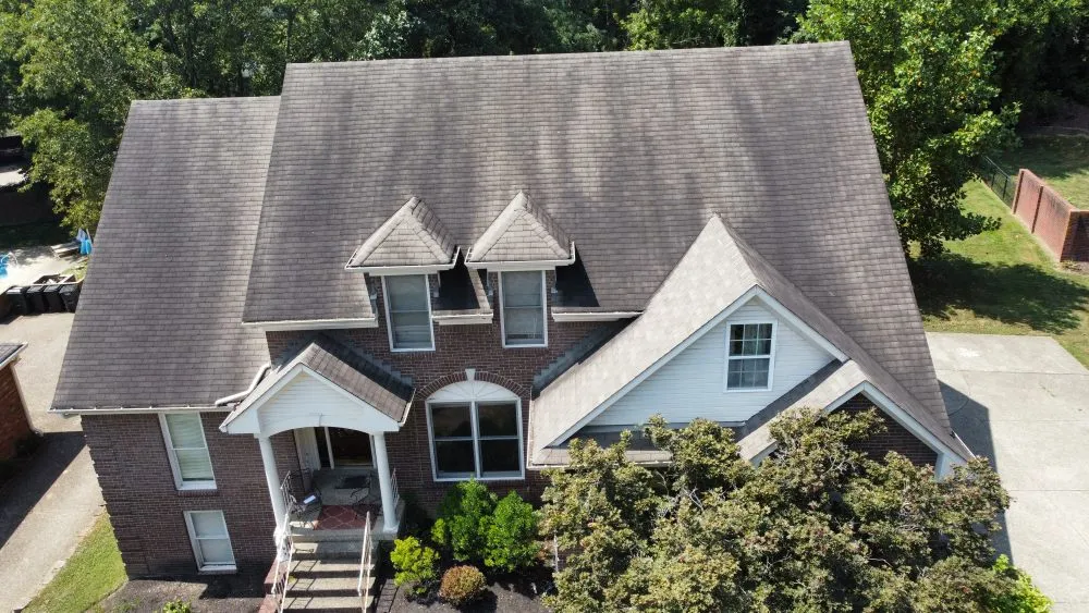 Slide of Pinkstar Xteriors