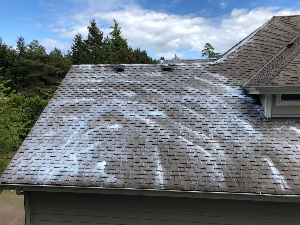 Slide of Pinnacle Exterior Maintenance & Roofing