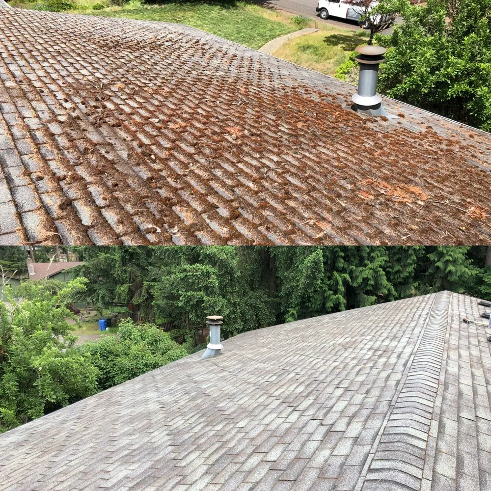 Slide of Pinnacle Exterior Maintenance & Roofing