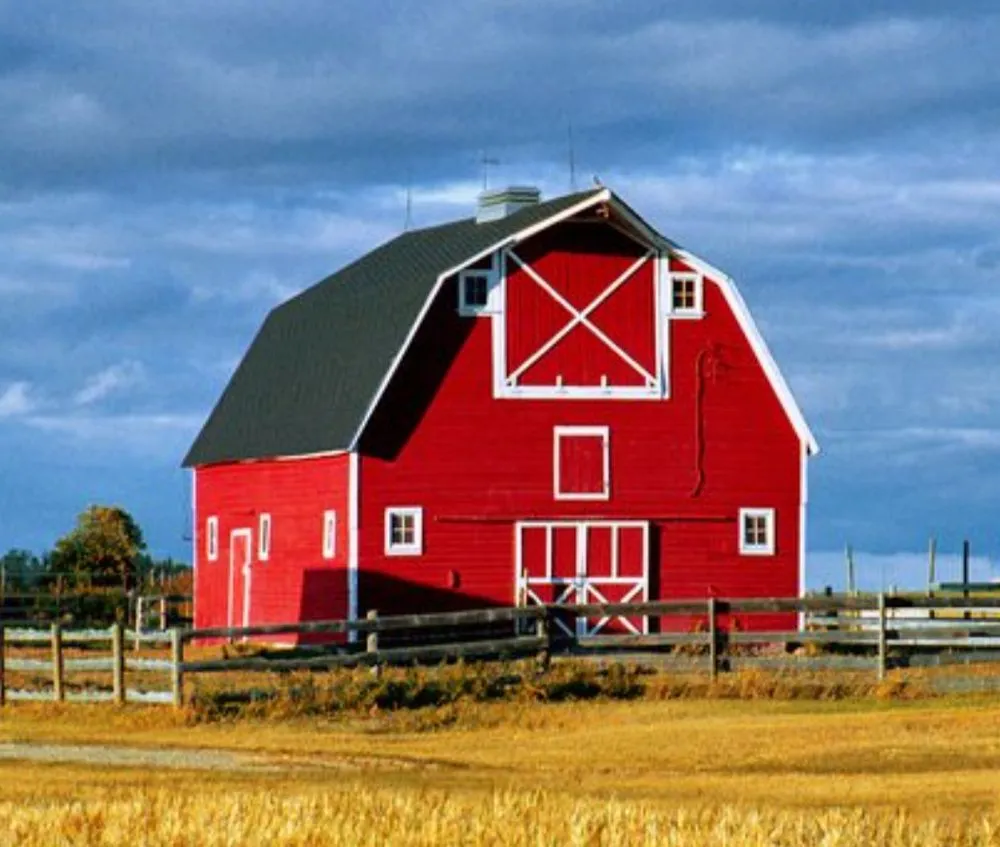 Slide of Pioneer & Sons