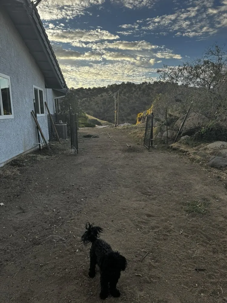 Slide of Pioneer Construction