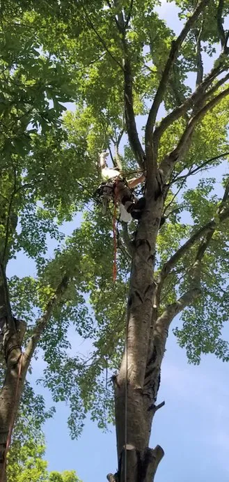 Slide of Pioneer Enterprises