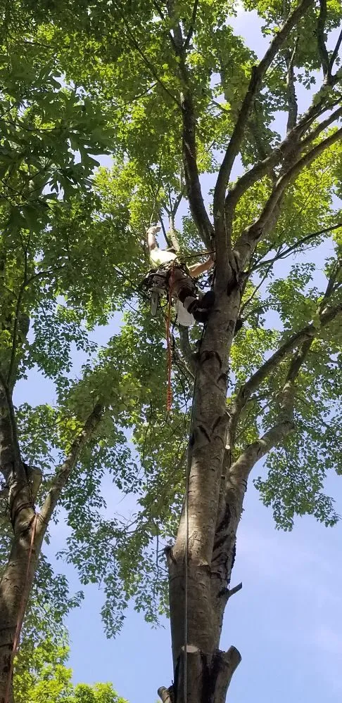 Slide of Pioneer Enterprises