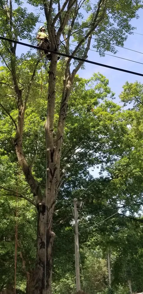 Slide of Pioneer Enterprises