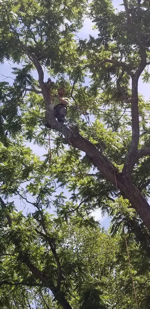 Slide of Pioneer Enterprises