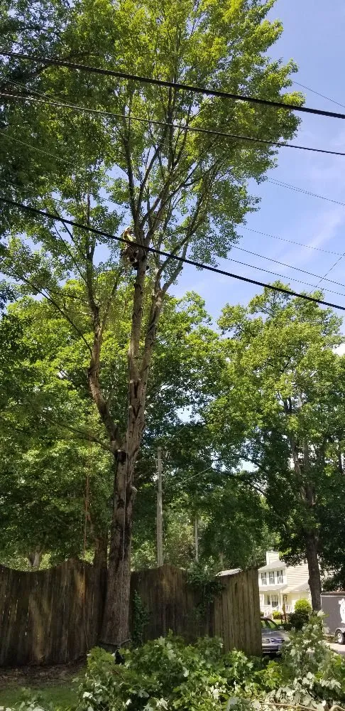 Slide of Pioneer Enterprises