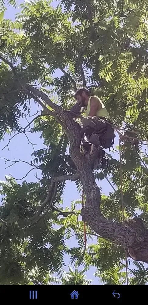 Slide of Pioneer Enterprises