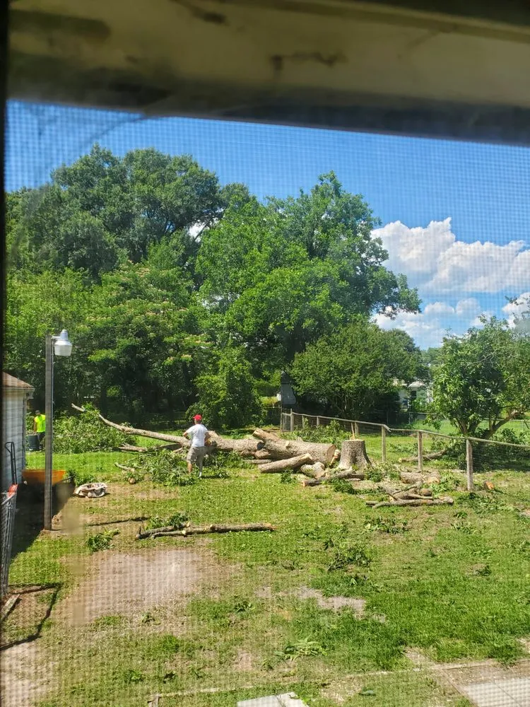 Slide of Pioneer Enterprises