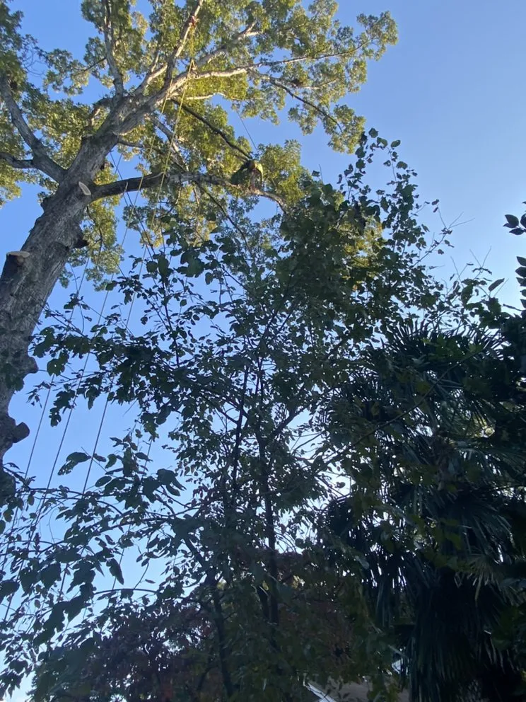 Slide of Pioneer Enterprises