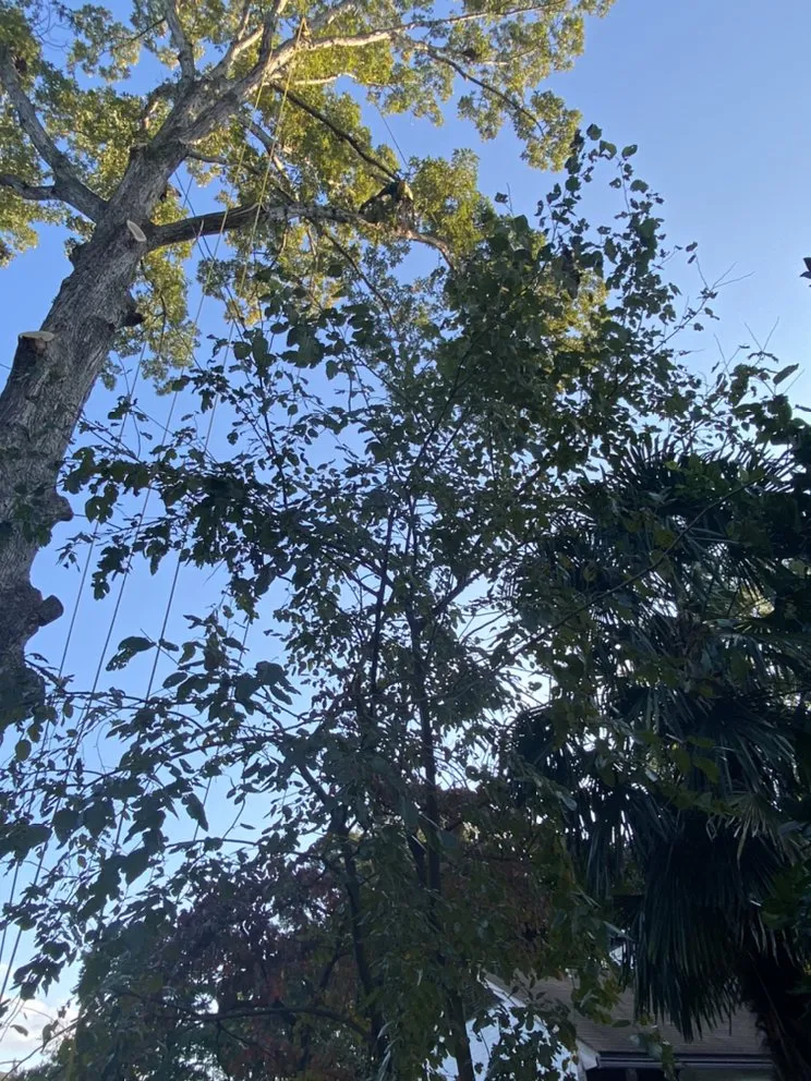 Slide of Pioneer Enterprises