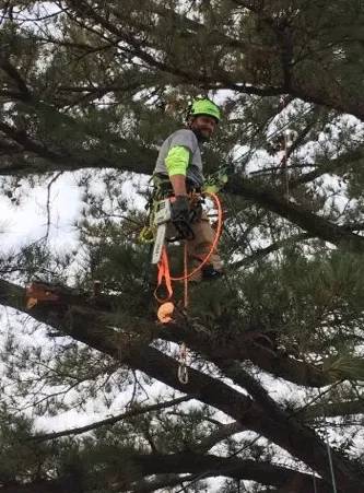 Slide of Pioneer Enterprises