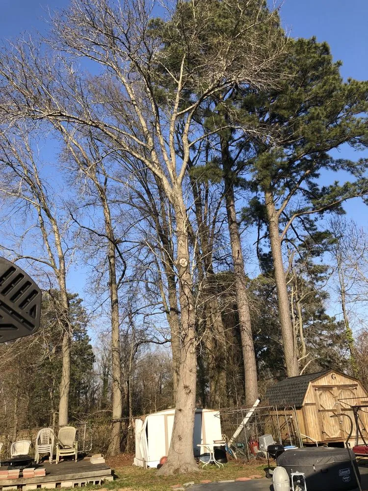 Slide of Pioneer Enterprises