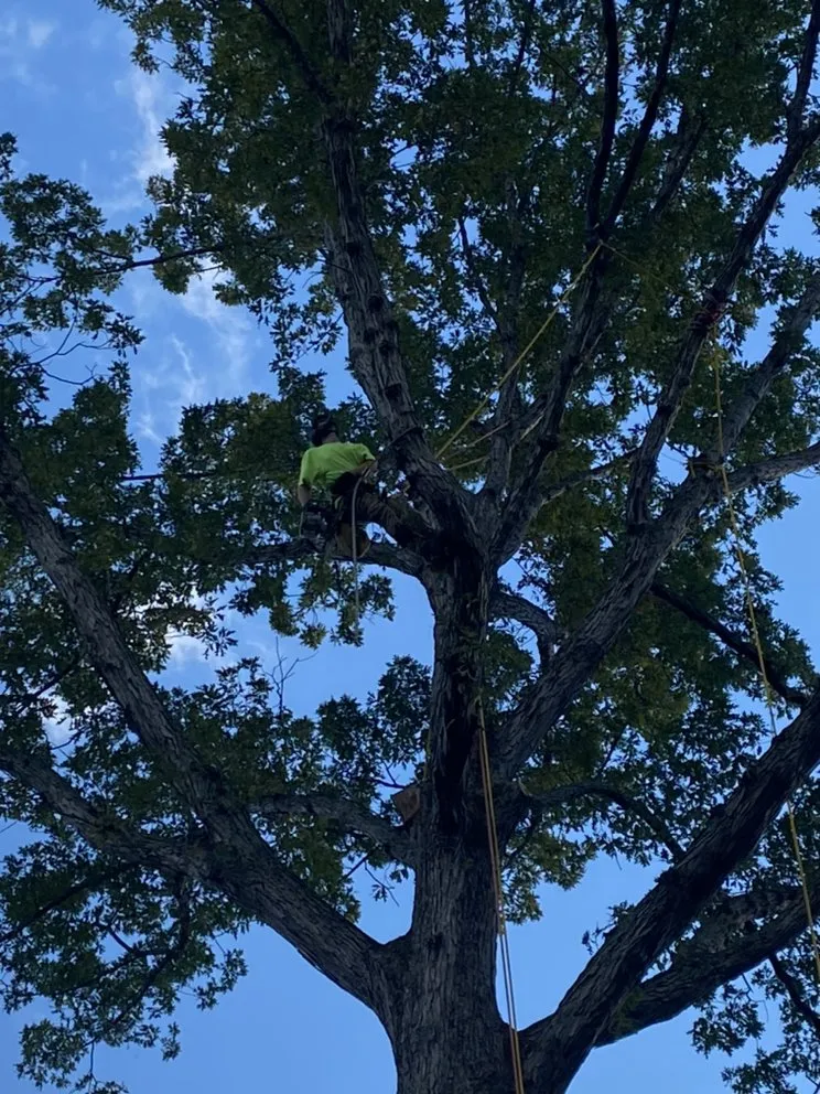 Slide of Pioneer Enterprises