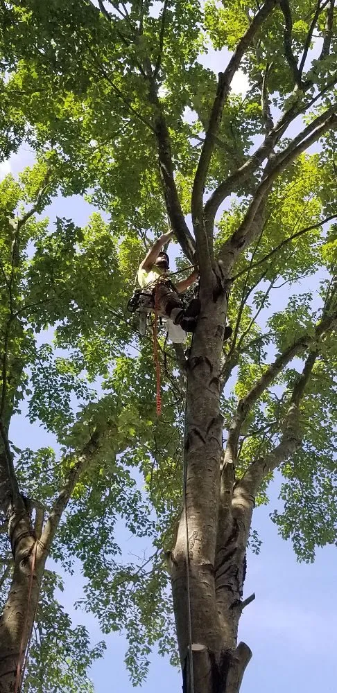 Slide of Pioneer Enterprises