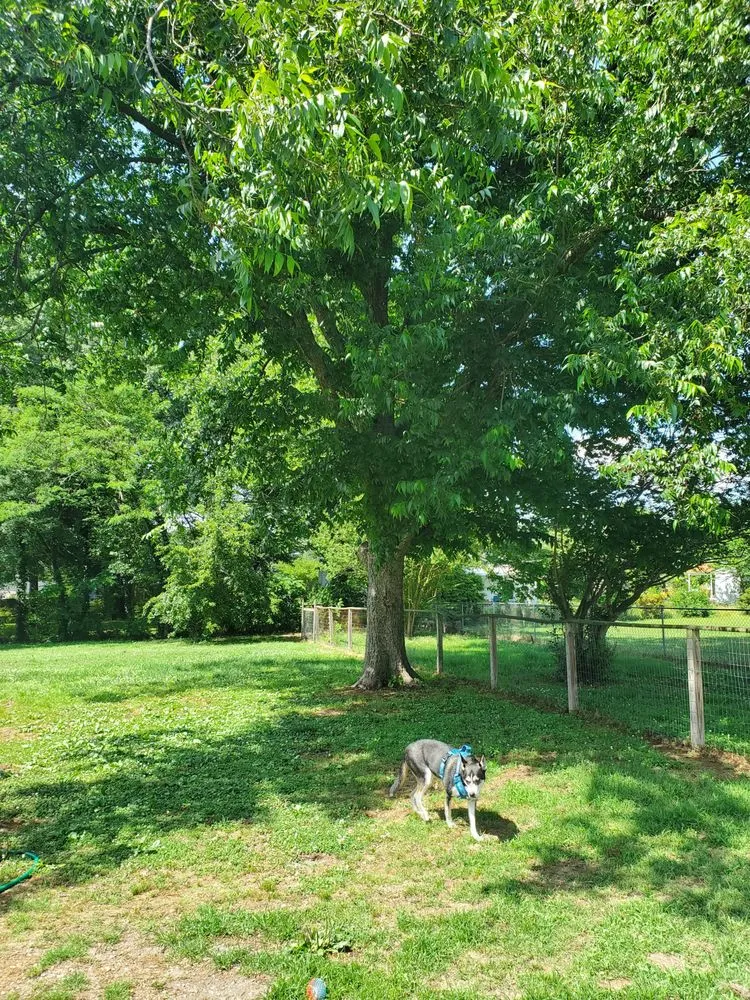 Slide of Pioneer Enterprises