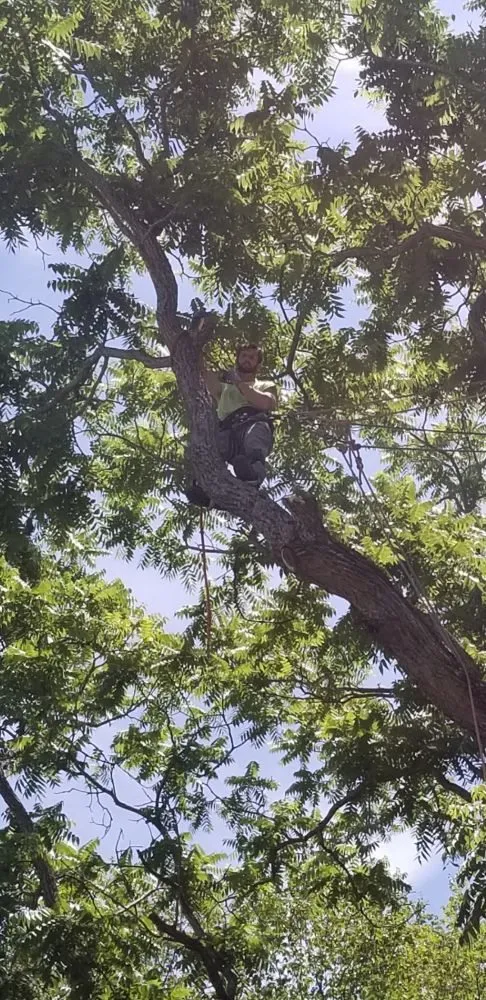 Slide of Pioneer Enterprises