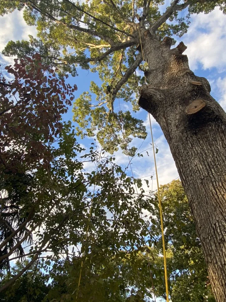 Slide of Pioneer Enterprises