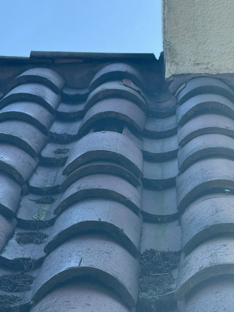 Slide of Pioneer Roofers