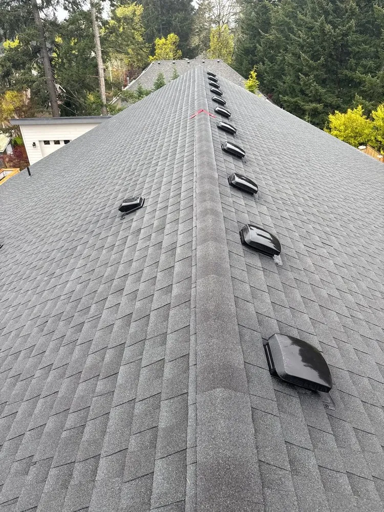 Slide of Pioneer Roofers