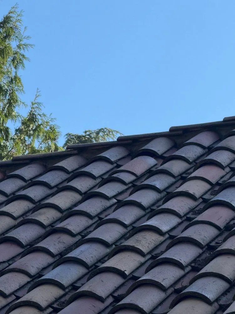 Slide of Pioneer Roofers