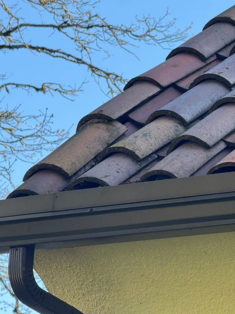 Slide of Pioneer Roofers