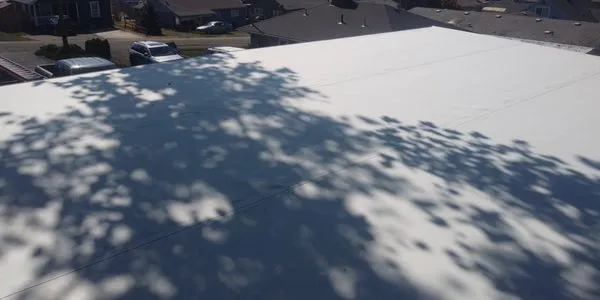 Pioneer Roofing Logo