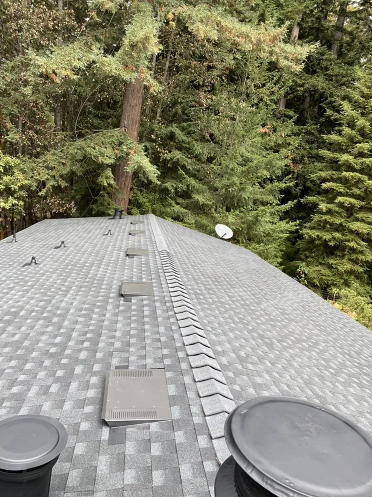 Slide of Pio’s  Roofing                