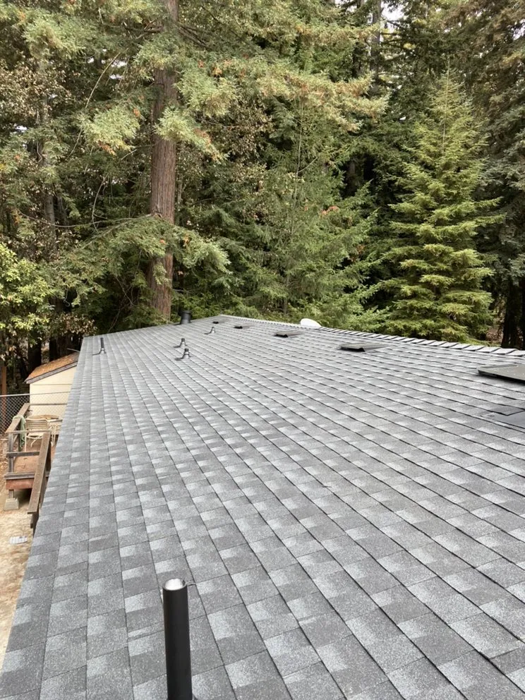 Slide of Pio’s  Roofing                