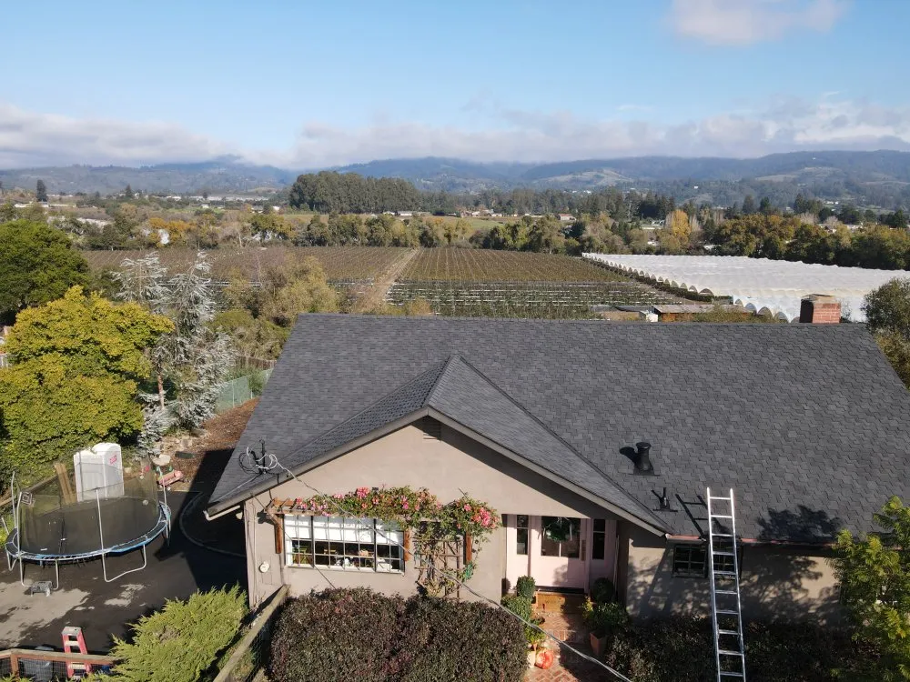 Slide of Pio’s  Roofing                