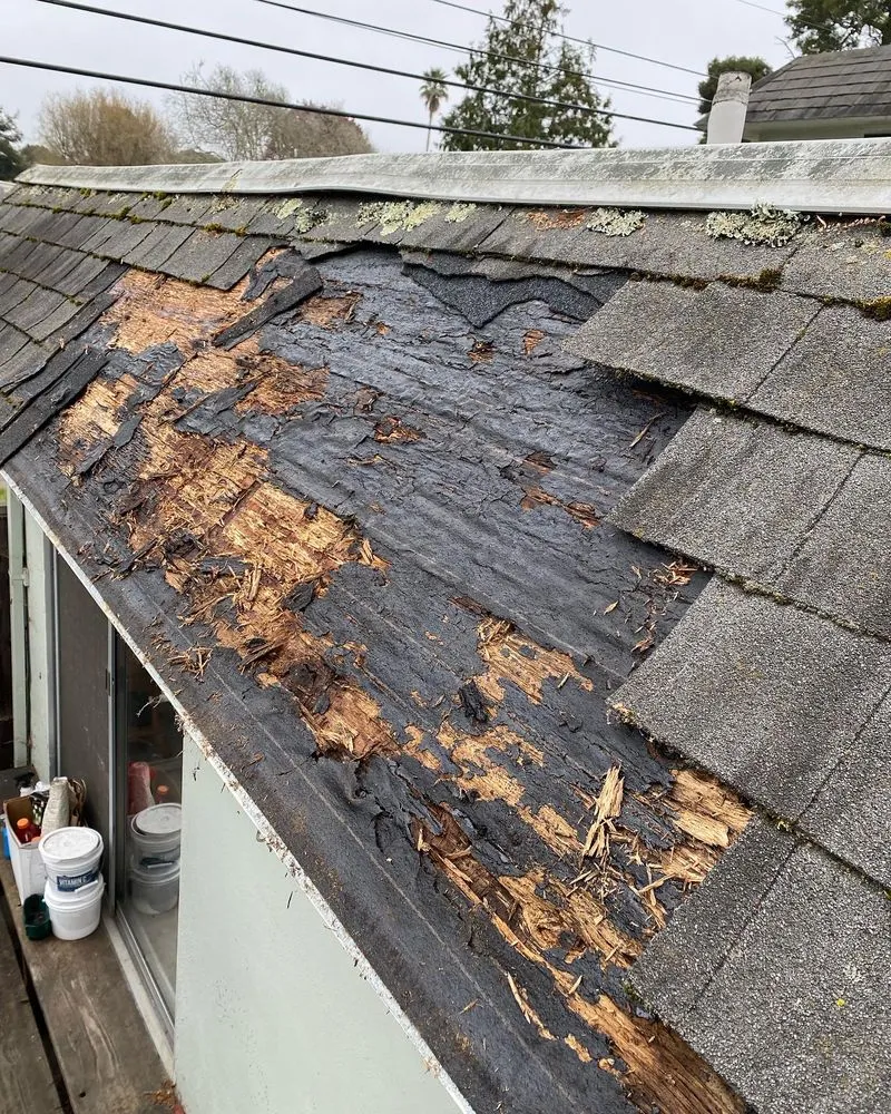 Slide of Pio’s  Roofing                