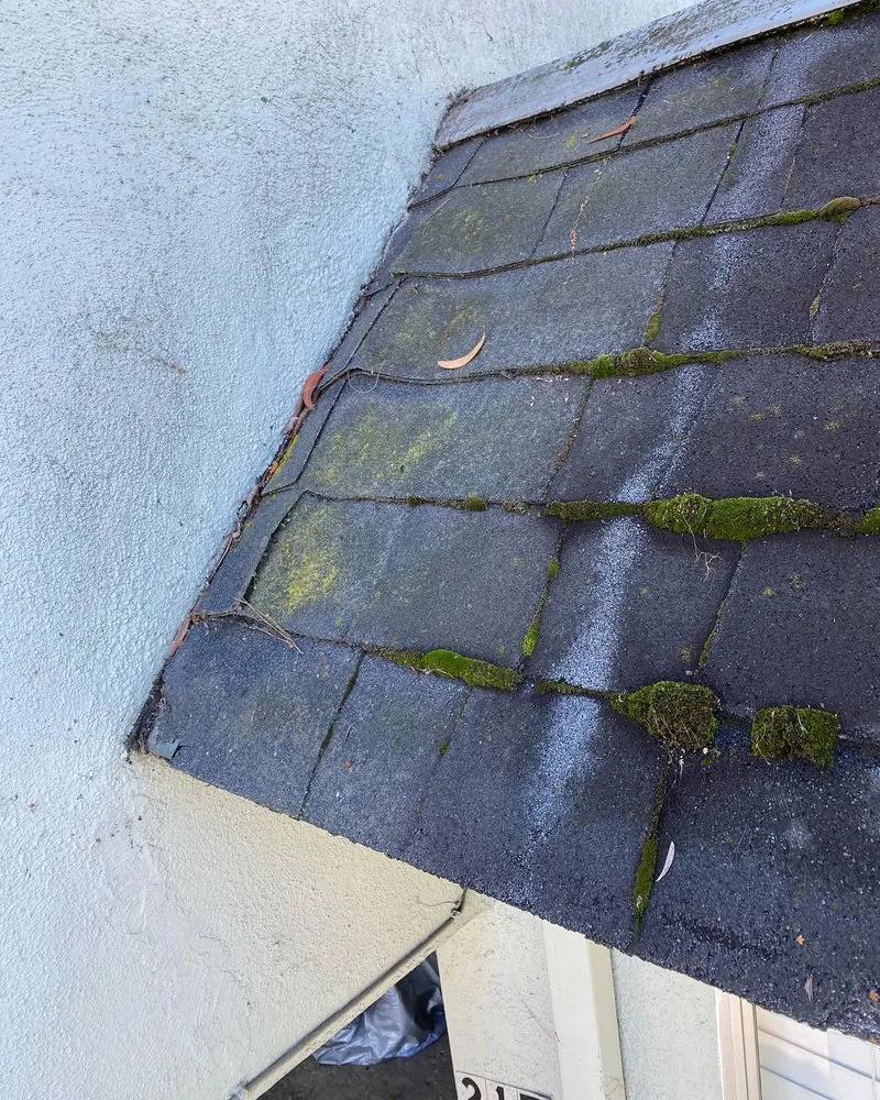 Slide of Pio’s  Roofing                